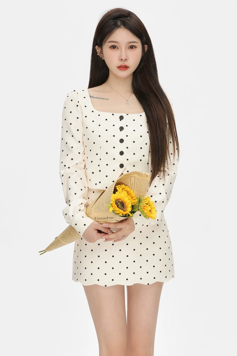 dot ivory set up DL1382