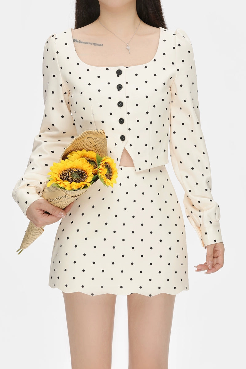 dot ivory set up DL1382