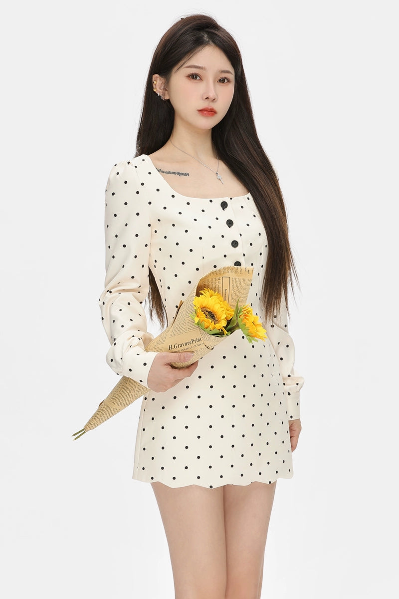 dot ivory set up DL1382