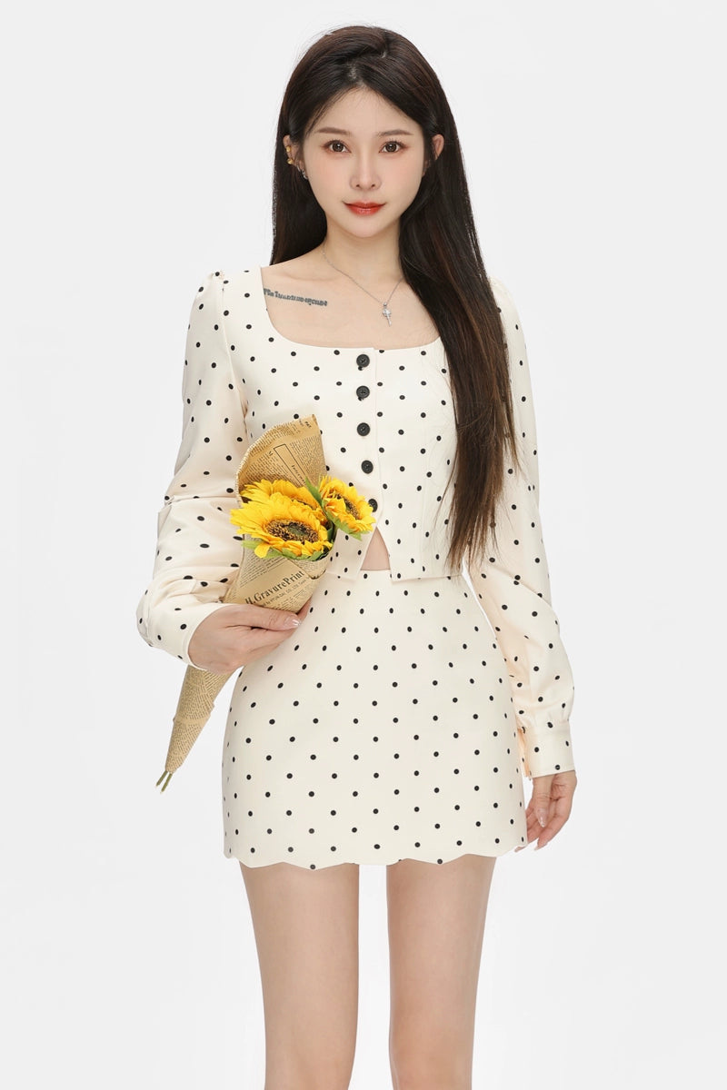 dot ivory set up DL1382